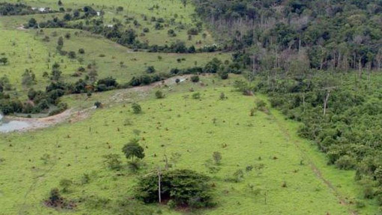 Contribuintes já podem entregar Declaração do Imposto Territorial Rural