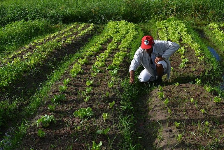 Incra entregou cadastro estadual florestal a 60 assentamentos na Bahia