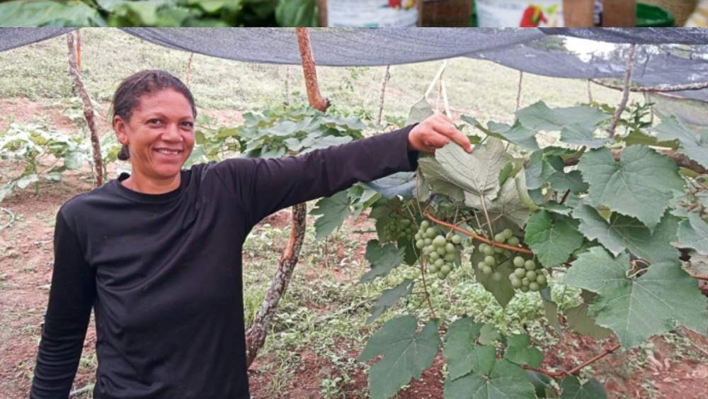Com investimento de mais de R$ 25 milhões, Ater Mulheres Rurais leva empoderamento feminino à agricultoras na Bahia
