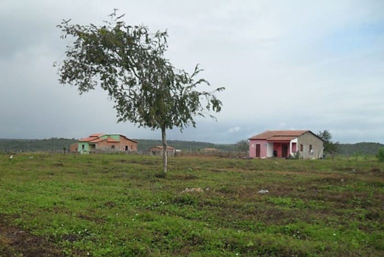 Programa Nacional de Reforma Agrária foi retomado com criação de oito assentamentos na Bahia, Minas Gerais e outros estados