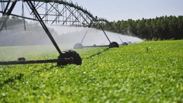 Ministro autoriza realização de estudos para concessão do Projeto de Irrigação Vale do Iuiú