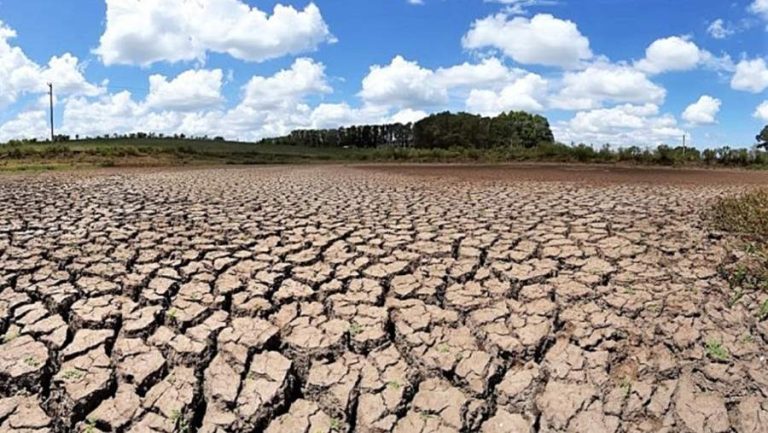 Defesa Civil nacional reconheceu emergência pela estiagem em quatro cidades da Bahia e Pernambuco
