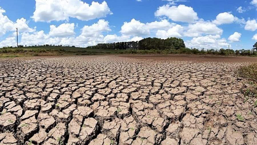 Defesa Civil Nacional reconheceu situação de emergência em 63 municípios afetados pela seca em Minas Gerais