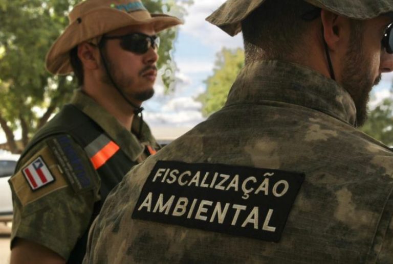 Sema e Inema fazem operação contra desmatamento ilegal do Cerrado no Oesta da Bahia