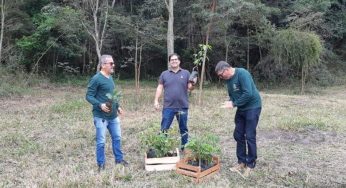Prefeitura de Vitória da Conquista realiza plantio de mudas nativas no distrito de Inhobim