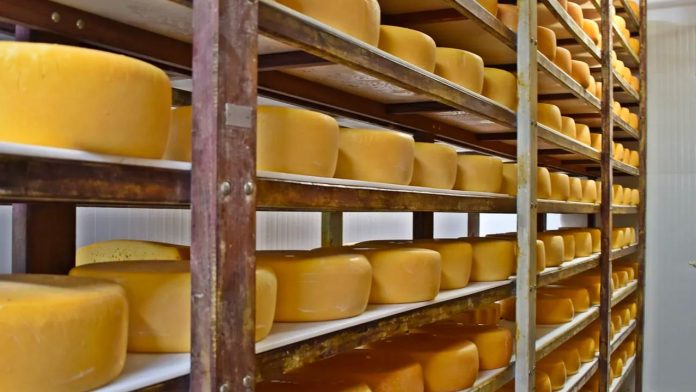 Cursos de queijos