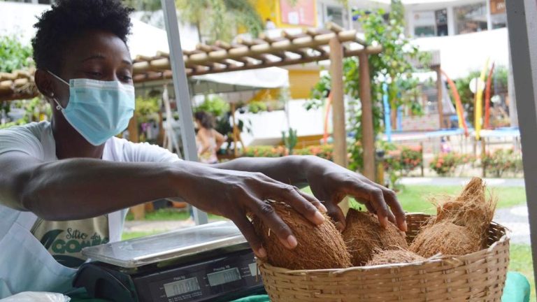 Feira Cultural, Agroecológica e Orgânica será realizada em Itabuna na próxima semana