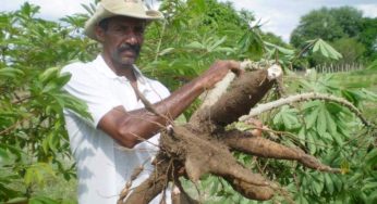 Incra abre inscrições para 66 lotes da reforma agrária na Bahia