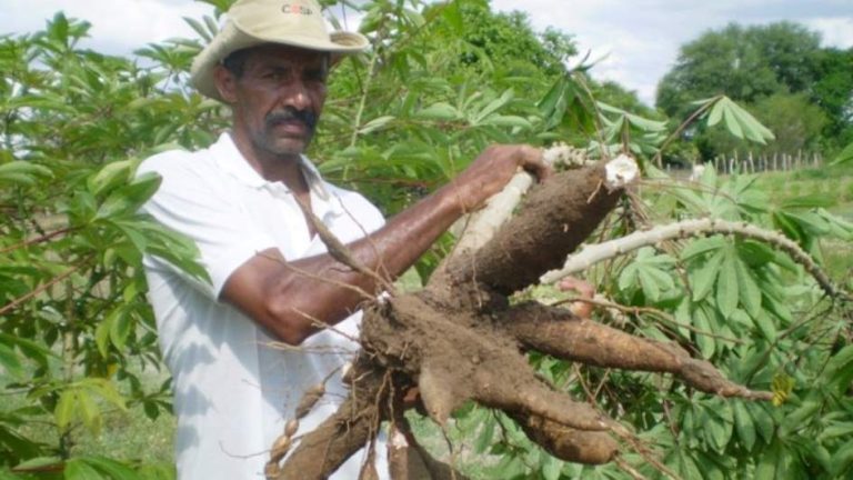 Incra abre inscrições para 66 lotes da reforma agrária na Bahia