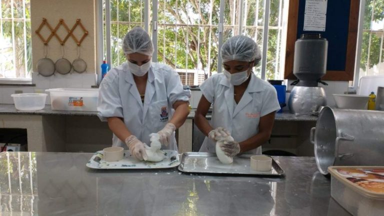 Pesquisadora baiana usa flor da alcachofra para produzir queijo