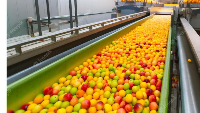 Processamento de Frutas - agroindustria