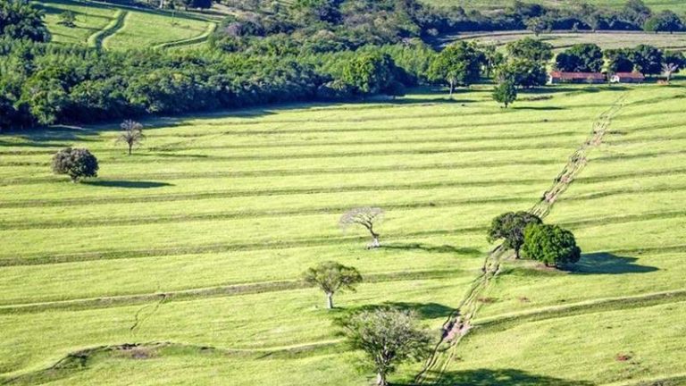Prazo para entrega da Declaração do Imposto Territorial Rural termina na sexta-feira