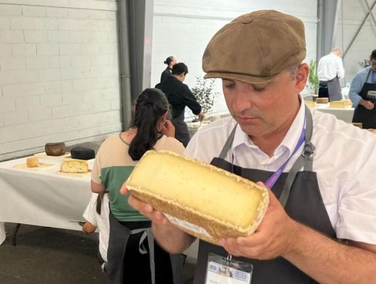 Queijo e iogurtes baianos são premiados em concurso na França