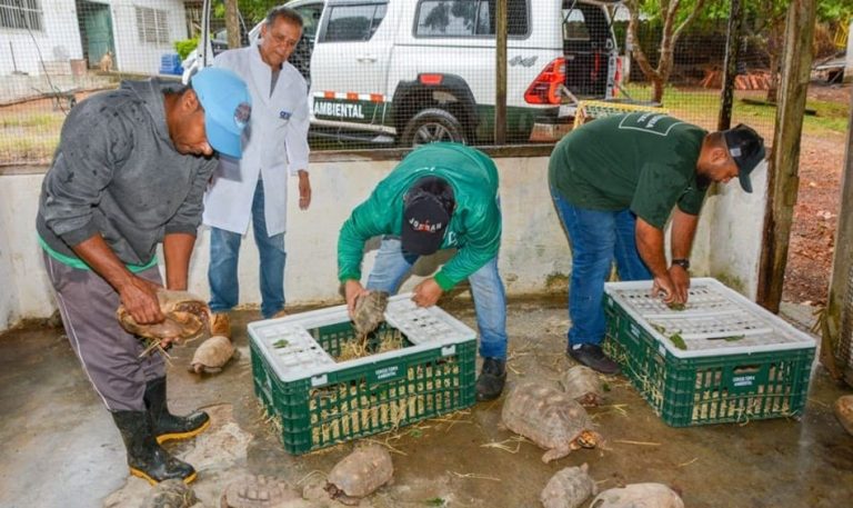 Cetas de Vitória da Conquista recebeu mais de mil animais traficados da Bahia para São Paulo