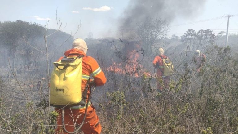 Brigadistas da Semma em Vitória da Conquista apagaram 25 focos de incêndio na Serra do Periperi