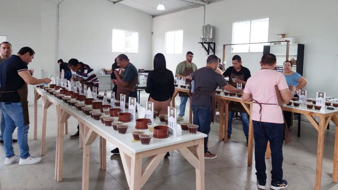 Concurso de Qualidade do Café acontece nesta sexta no Sudoeste Baiano