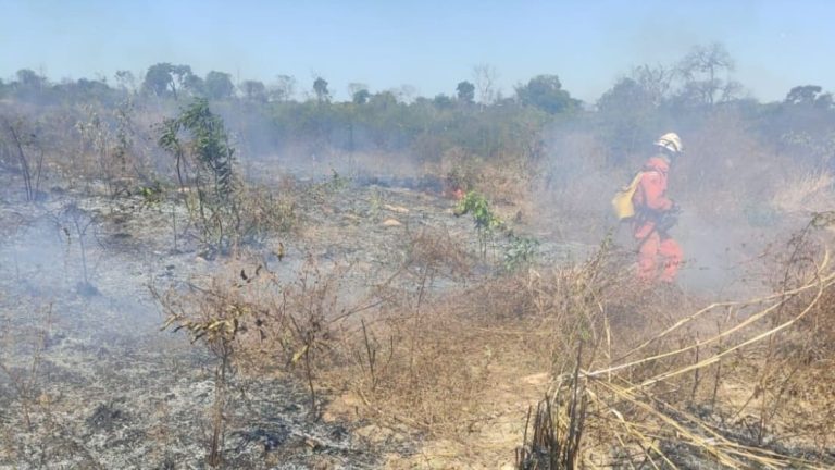 Mais de 220 bombeiros e brigadistas voluntários atuam no combate a incêndios no Oeste Baiano e regiões próximas