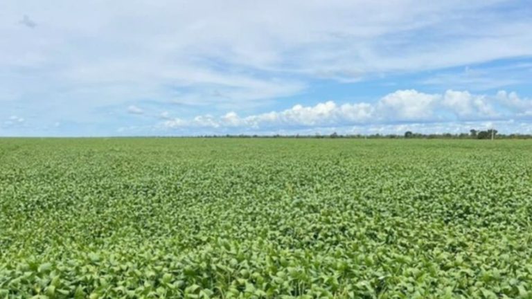 Ministério autorizou empresa a captar R$ 182,1 milhões para expansão de área irrigada na Bahia