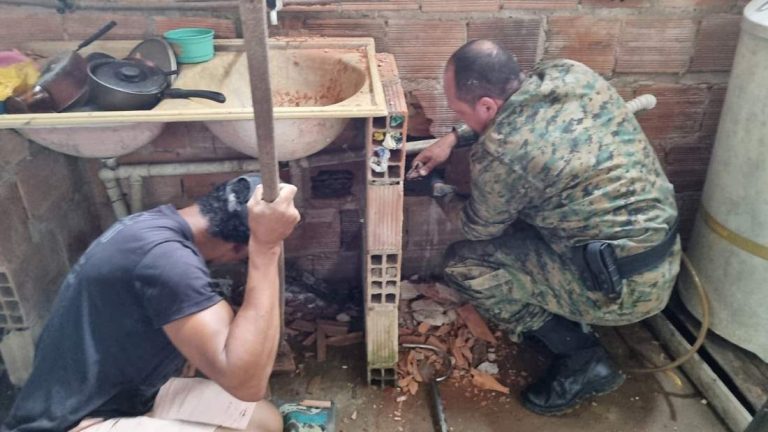 Jiboia foi encontrada entre paredes de residência na Bahia