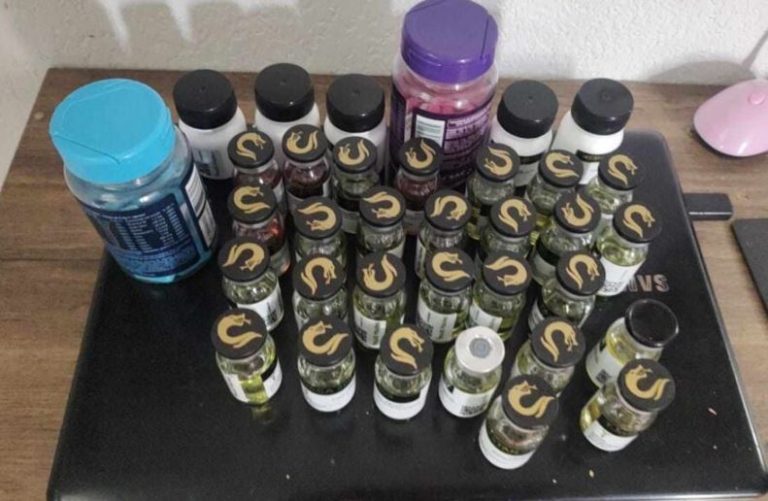 Operação apreende medicamentos e anabolizantes proibidos sendo comercializados em Bom Jesus da Lapa