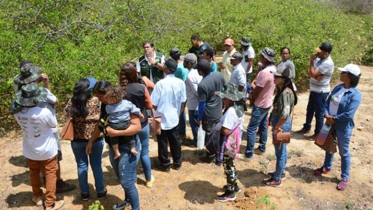 Vitória da Conquista apresenta técnicas de cultivo do umbu gigante a produtores rurais