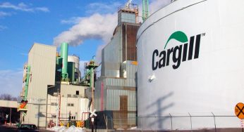 Cargill seleciona para novas vagas de emprego na Bahia, Minas Gerais, São Paulo e outros estados