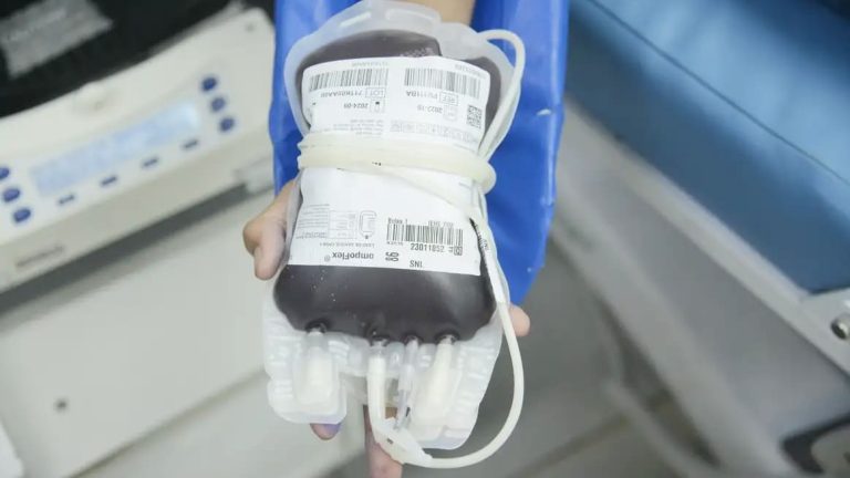 Aplicativo facilitará doações de sangue no Brasil