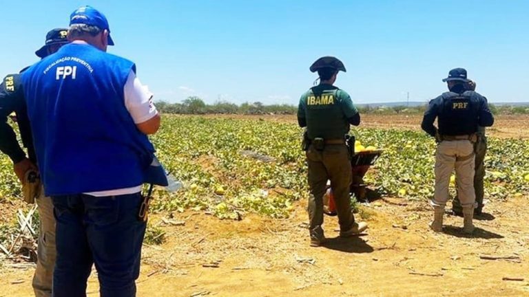FPI resgatou mais de 500 aves, apreendeu armas, madeira ilegal e coibiu outros crimes