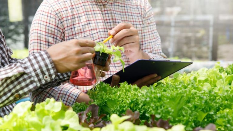 Publicado o plano para desenvolvimento agropecuário e agroindustrial da Matopiba