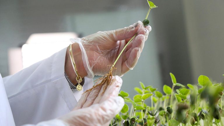 Processo Seletivo Ministério da Agricultura
