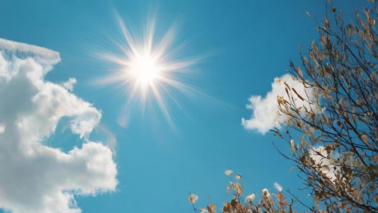Sol calor