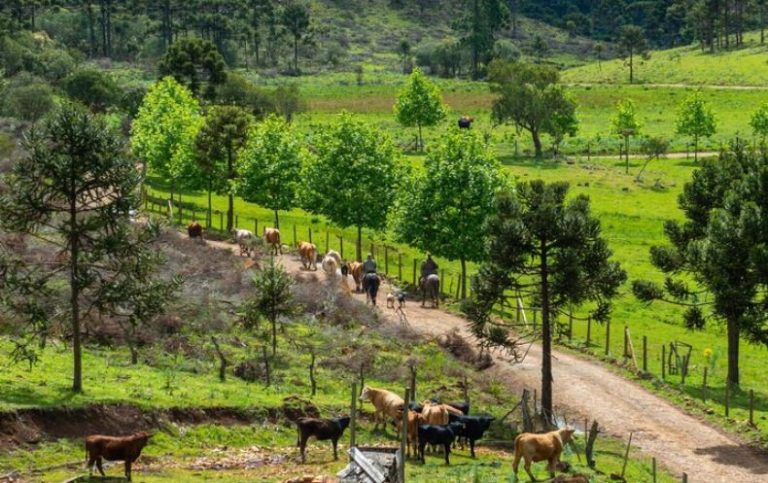 Uesb abriu seleção para mestrado e doutorado em Zootecnia