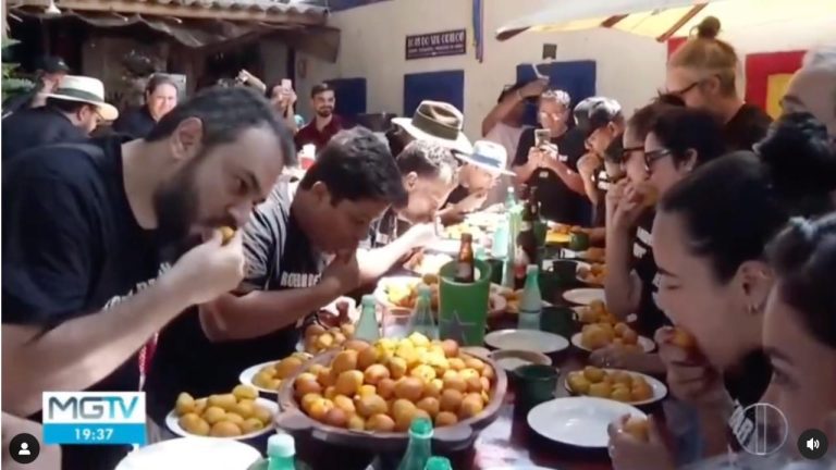 concurso roedor de pequi