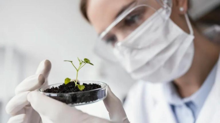 processo seletivo do ministério da agricultura