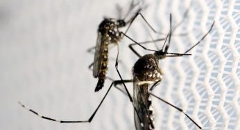 Testes pré-clínicos de vacina contra a Zika serão iniciados em 2024 pelo Butatan