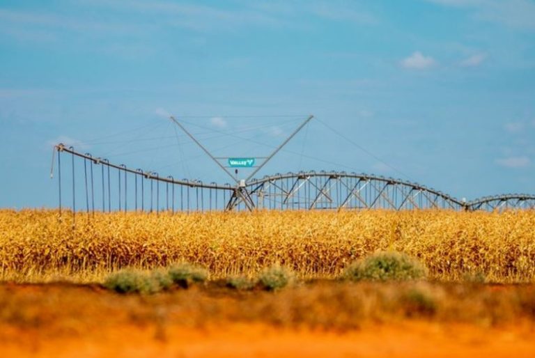 Agronegócio baiano fechou terceiro semestre com PIB de R$ 18,4 bilhões
