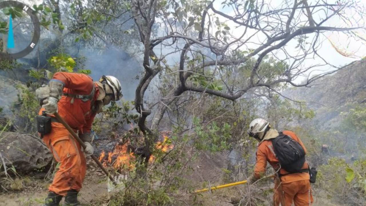 Incendios florestais na Bahia