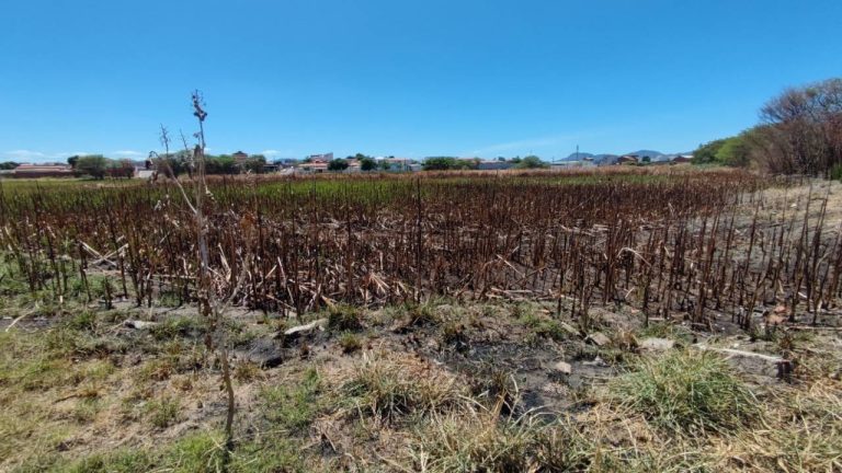 Lagoa de João Amaral