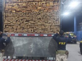carga de madeira nativa barreiras