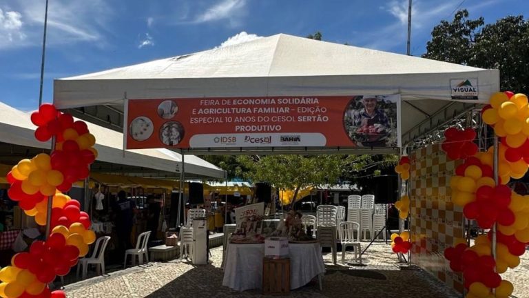 feira da economia solidária