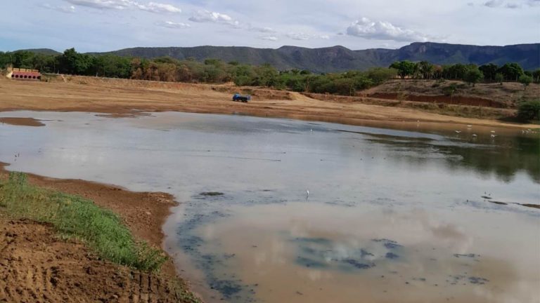 limpeza de lagoas
