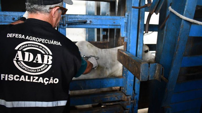 Concurso da Adab FGV