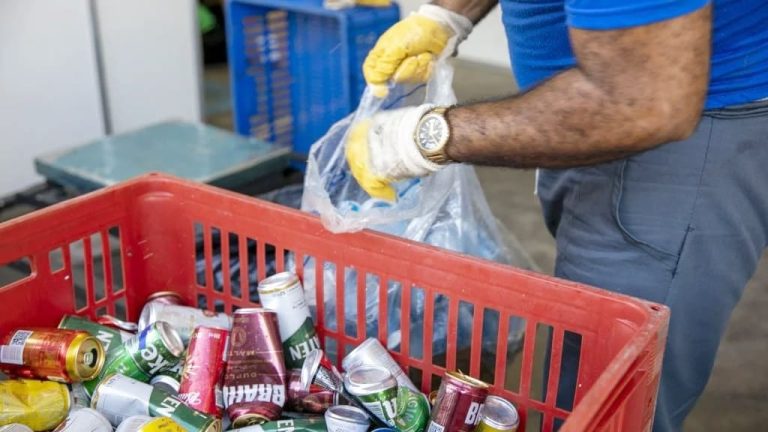 Estudantes desenvolveram aplicativo para facilitar descarte de resíduos no interior da Bahia