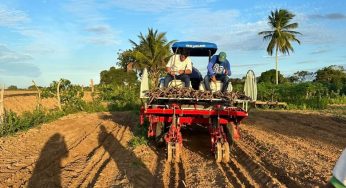 Estiagem pode reduzir área plantada de feijão na Bahia