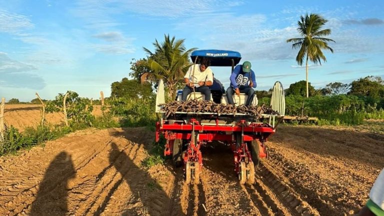 Estiagem pode reduzir área plantada de feijão na Bahia