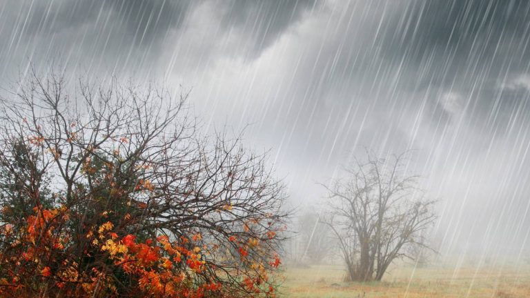 previsao de chuva nordeste