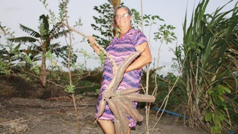 Edital Ater Bahia Sem Fome destina R$ 225,6 milhões em investimentos para agricultura familiar