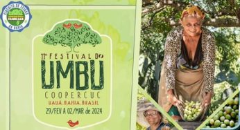 Festival do Umbu volta a ser realizado na Bahia a partir desta quinta-feira