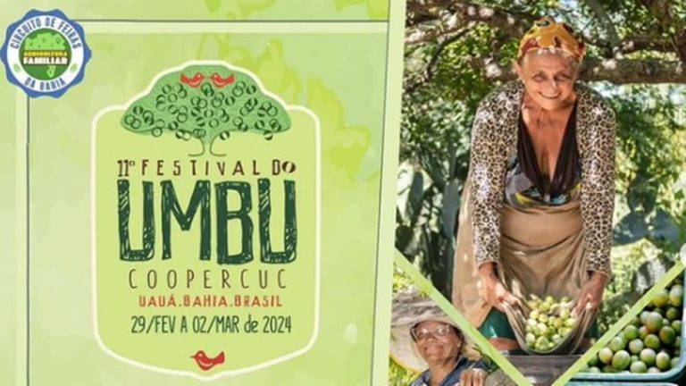 Festival do Umbu volta a ser realizado na Bahia a partir desta quinta-feira