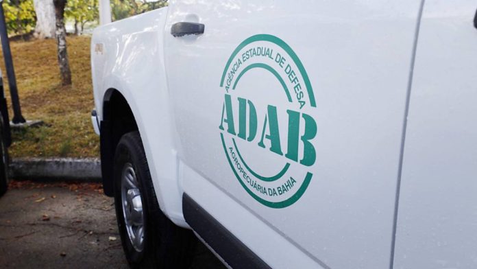 Inscrições do concurso da Adab